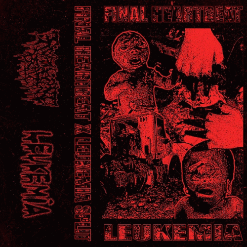 Final Heartbeat : Final Heartbeat - Leukemia